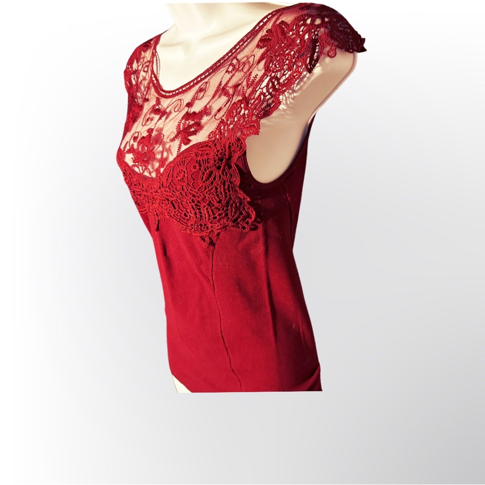 Anabel Connection Form Fitting Sheer Top